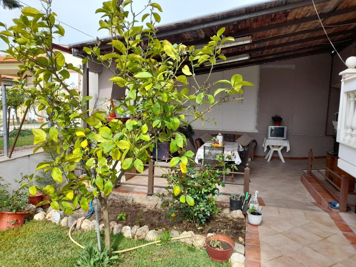 Villa Vangelis Nea Plagia Extérieur photo